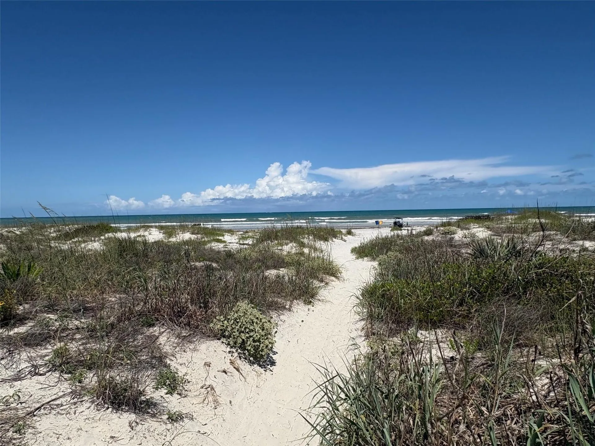 250 Minorca Beach Way New Smyrna Beach FL 32169