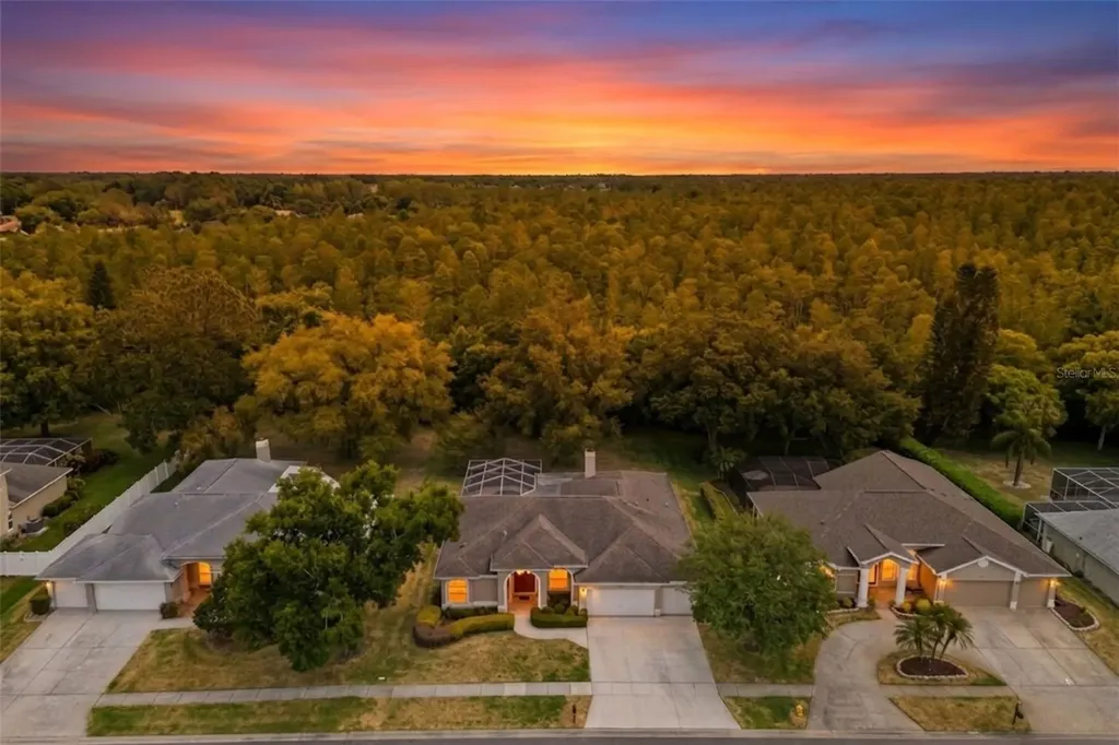 18543 Bittern Avenue Lutz FL 33558