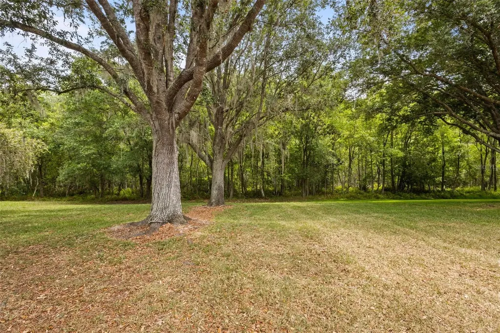 18543 Bittern Avenue Lutz FL 33558