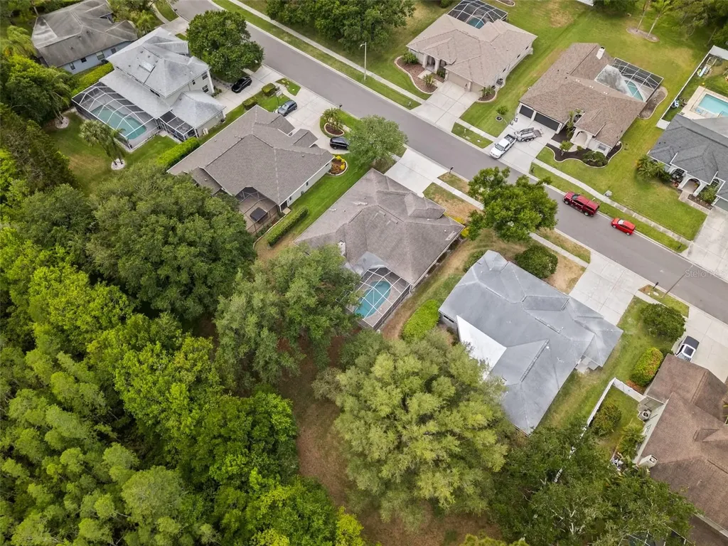 18543 Bittern Avenue Lutz FL 33558
