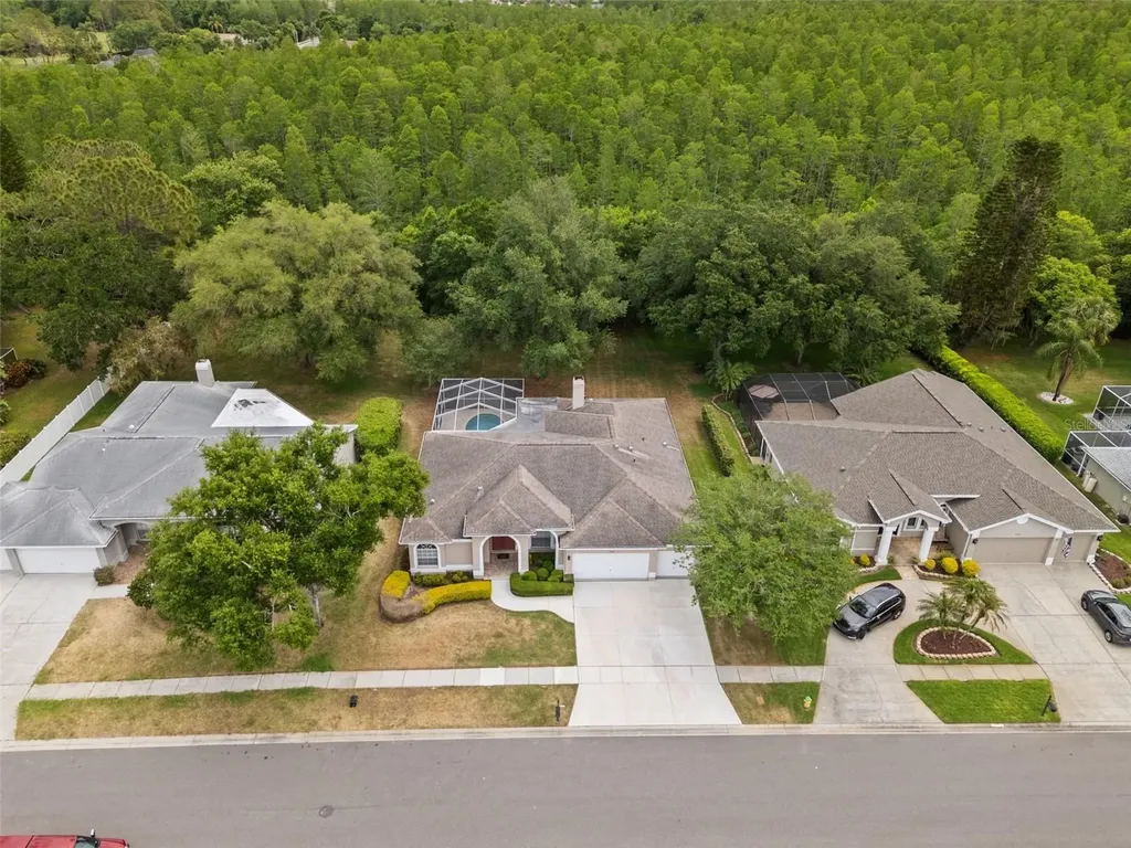 18543 Bittern Avenue Lutz FL 33558