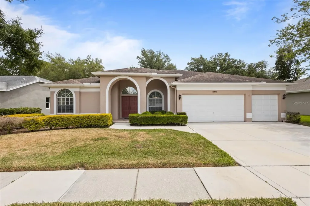 18543 Bittern Avenue Lutz FL 33558