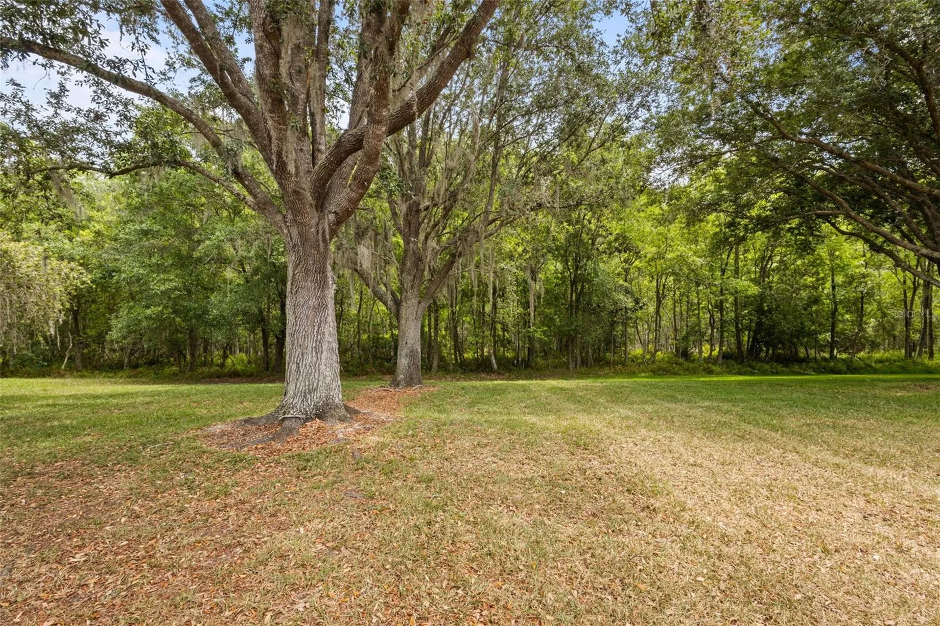 18543 Bittern Avenue Lutz FL 33558