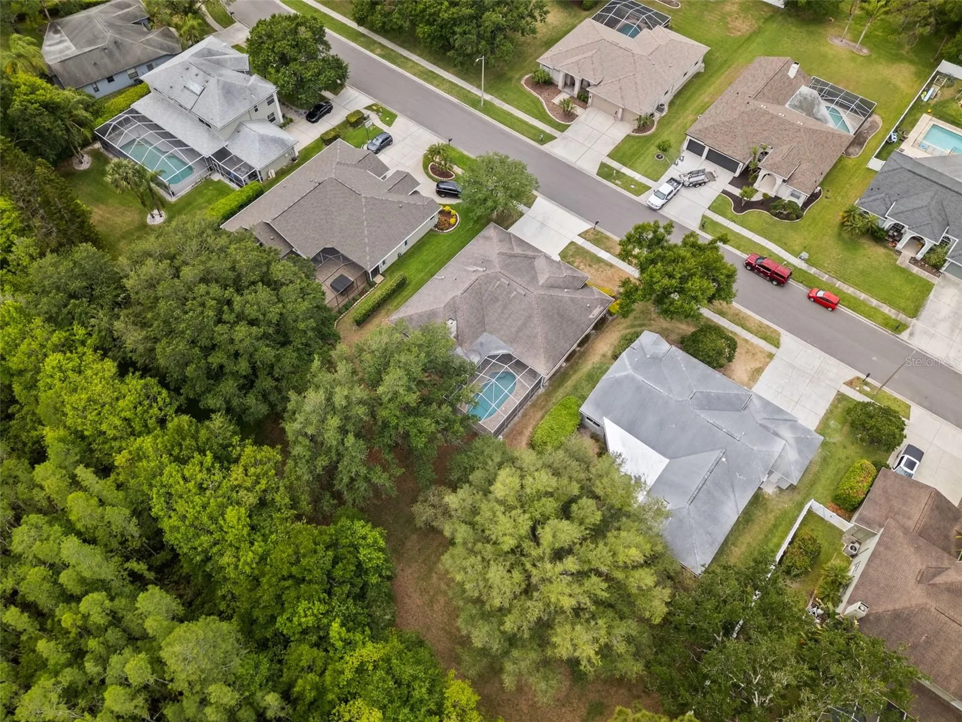 18543 Bittern Avenue Lutz FL 33558
