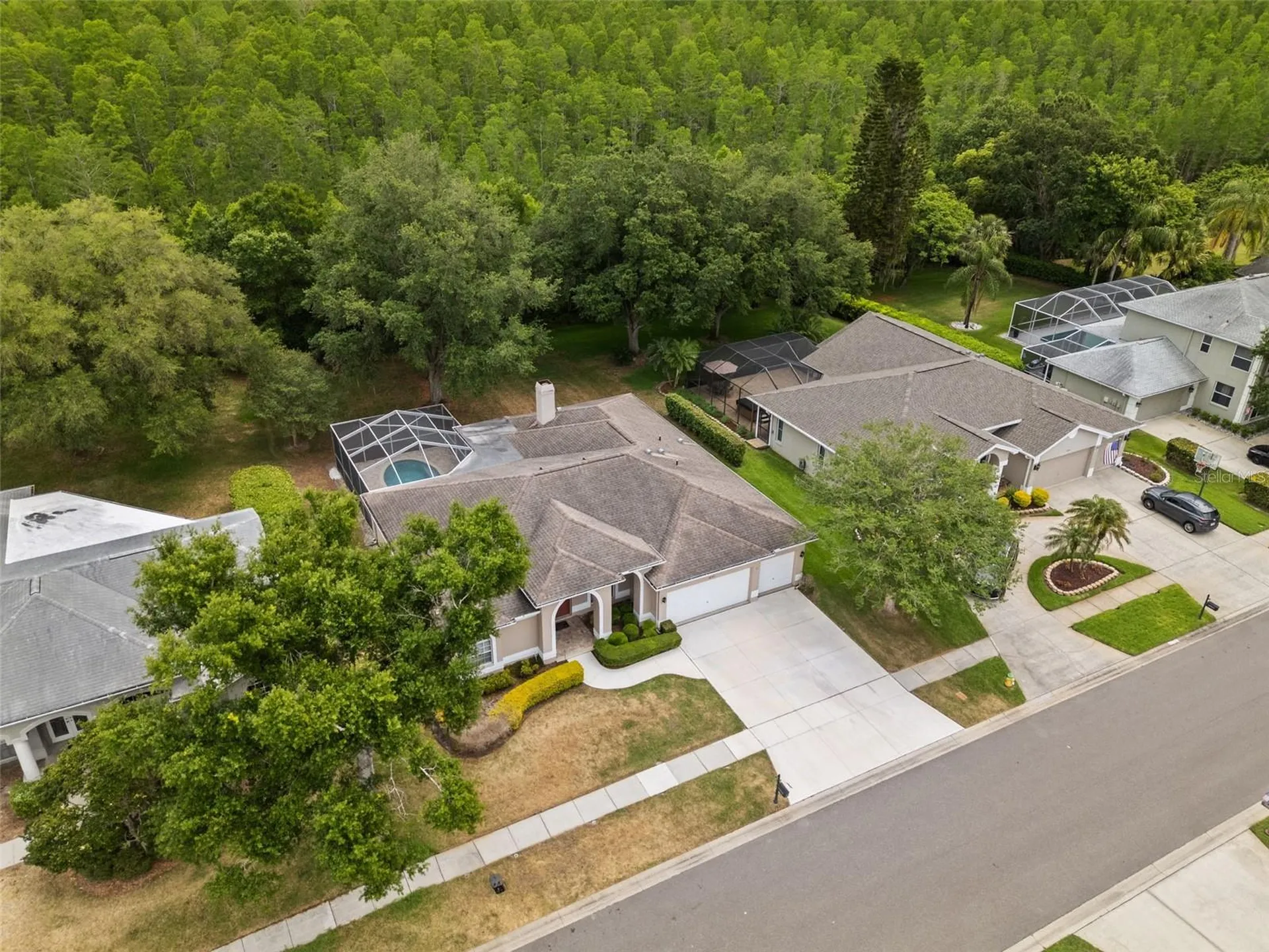 18543 Bittern Avenue Lutz FL 33558