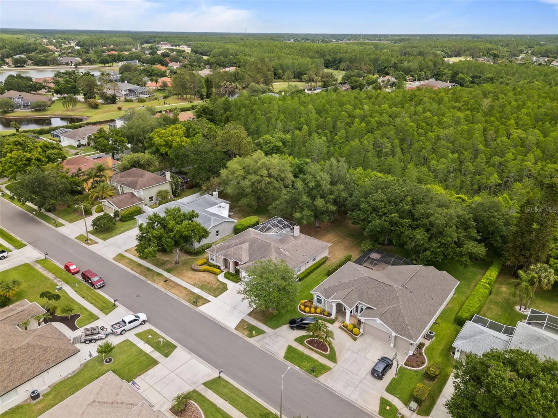 18543 Bittern Avenue Lutz FL 33558