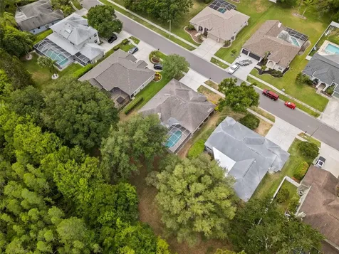 18543 Bittern Avenue Lutz FL 33558