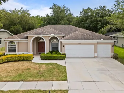 18543 Bittern Avenue Lutz FL 33558