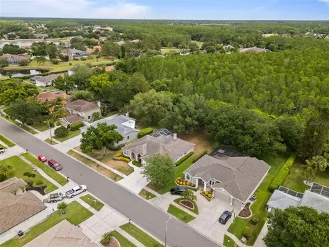 18543 Bittern Avenue Lutz FL 33558