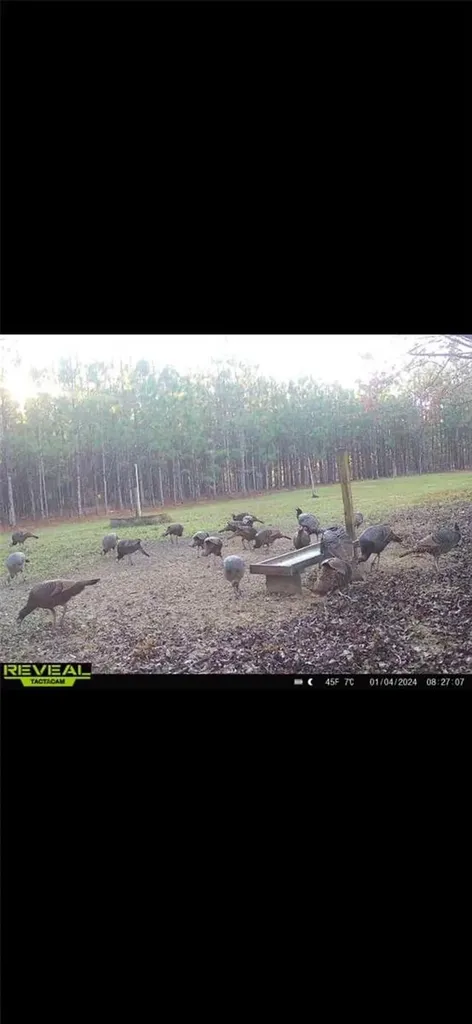 272 NE County Road 337 Trenton FL 32693