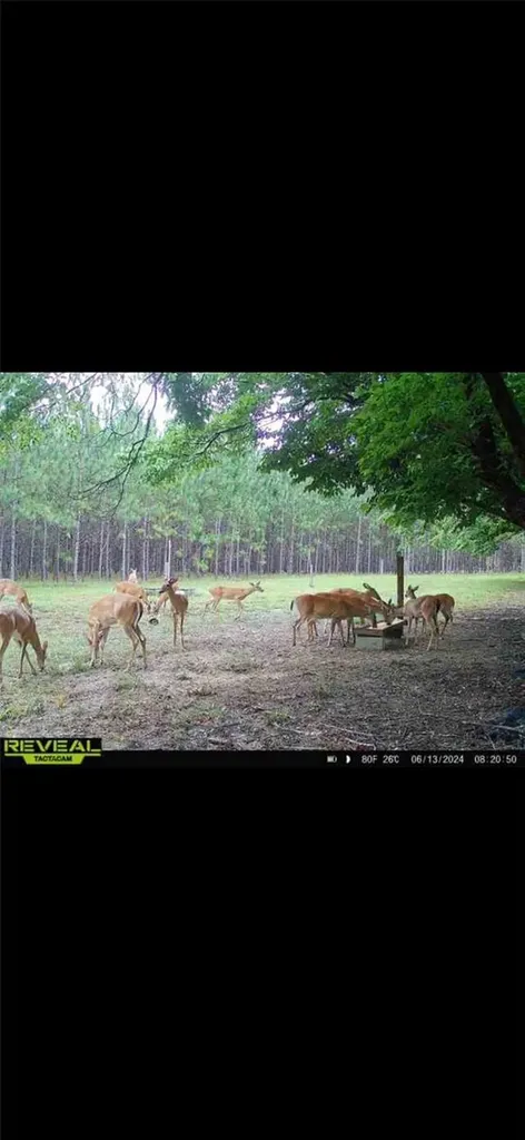 272 NE County Road 337 Trenton FL 32693