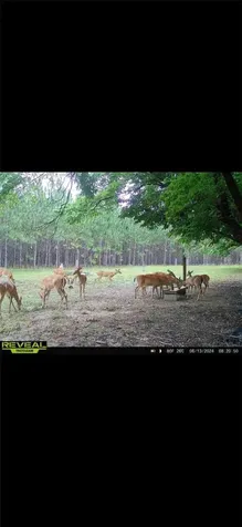 272 NE County Road 337 Trenton FL 32693