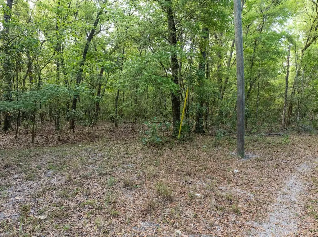 290 SW Rattlesnake Glen Fort White FL 32038