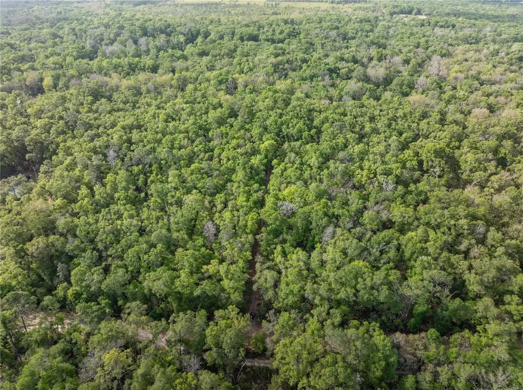 290 SW Rattlesnake Glen Fort White FL 32038