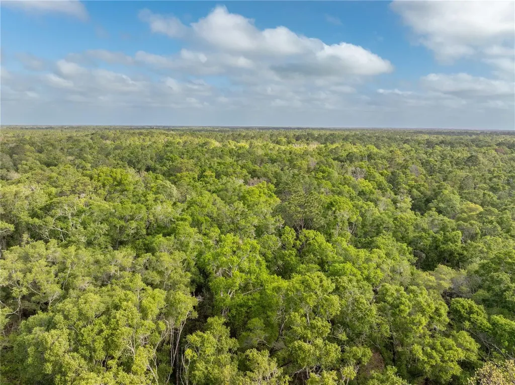 290 SW Rattlesnake Glen Fort White FL 32038