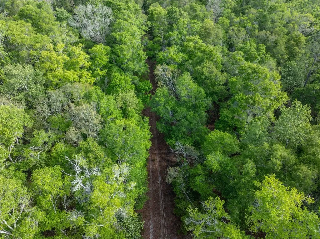 290 SW Rattlesnake Glen Fort White FL 32038