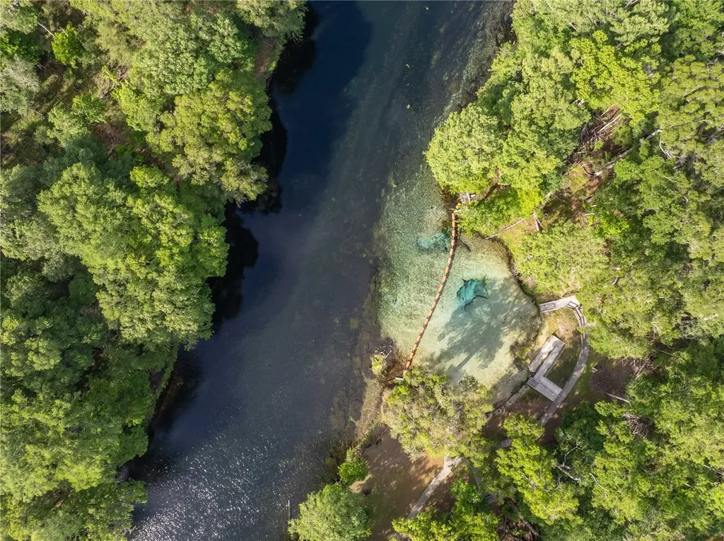 290 SW Rattlesnake Glen Fort White FL 32038
