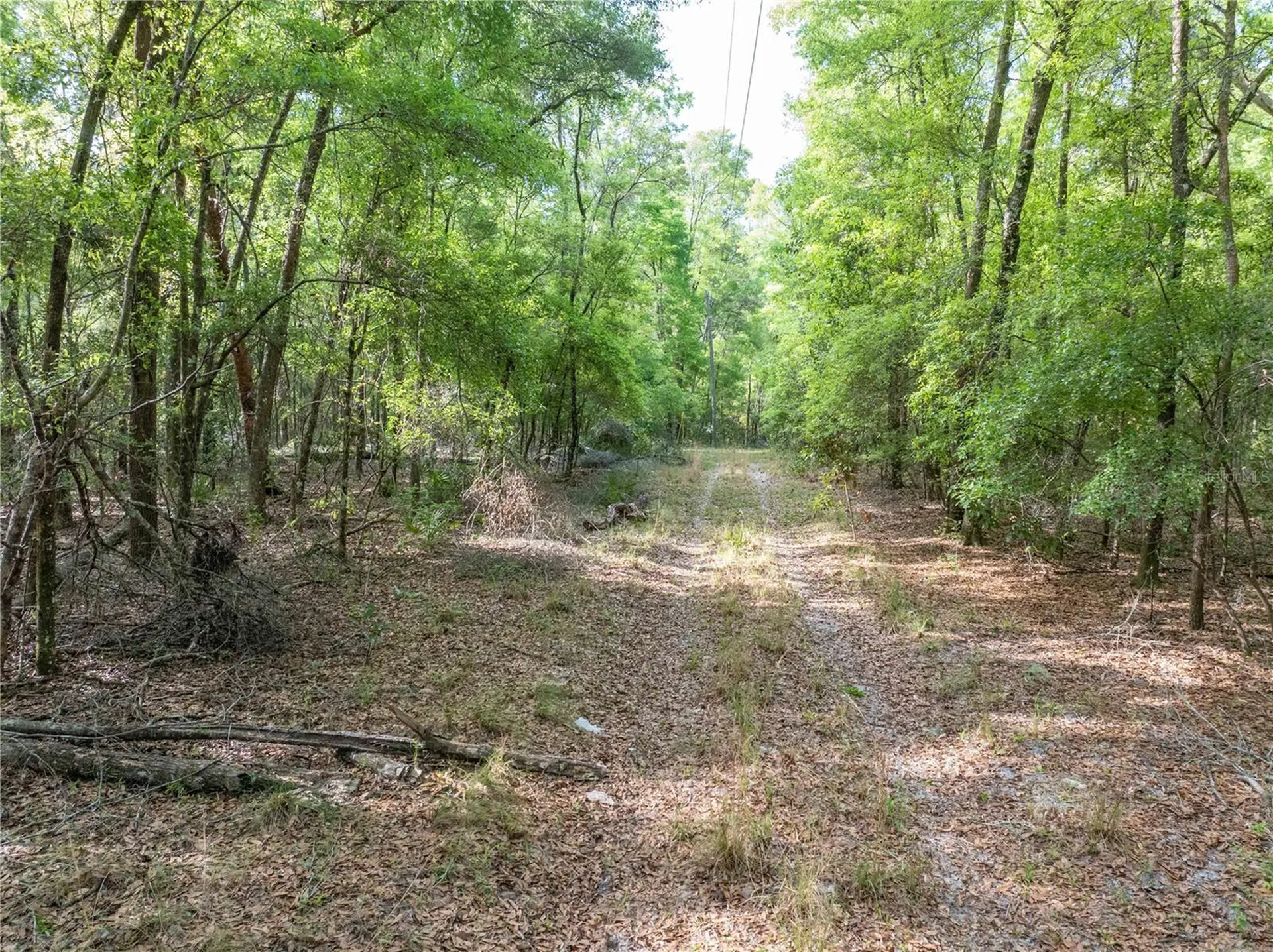 290 SW Rattlesnake Glen Fort White FL 32038