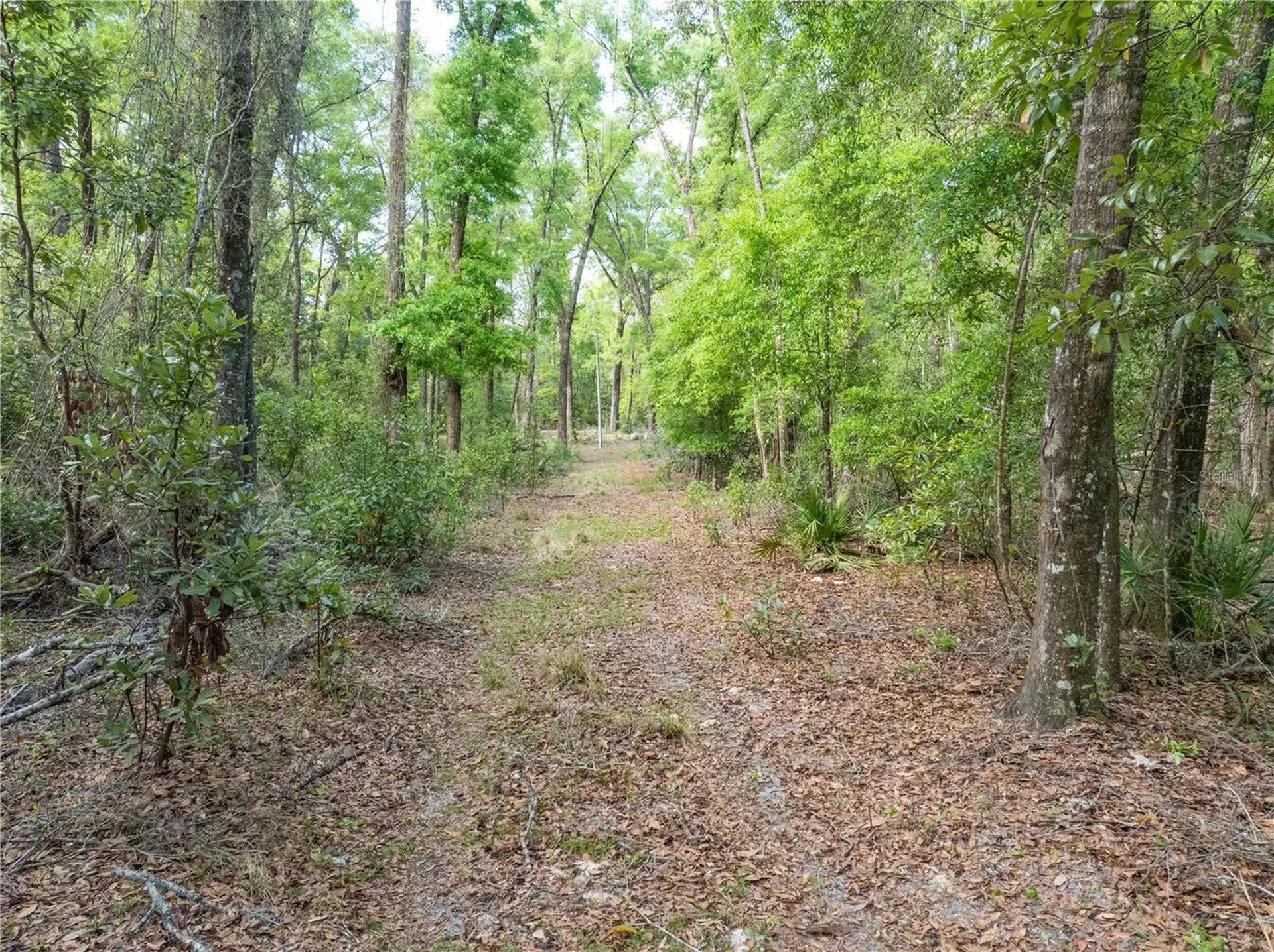 290 SW Rattlesnake Glen Fort White FL 32038
