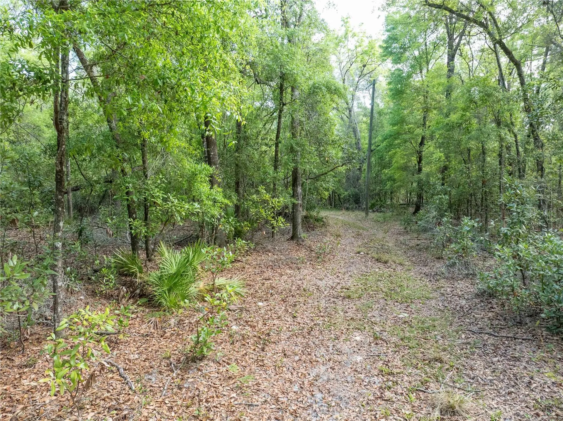 290 SW Rattlesnake Glen Fort White FL 32038
