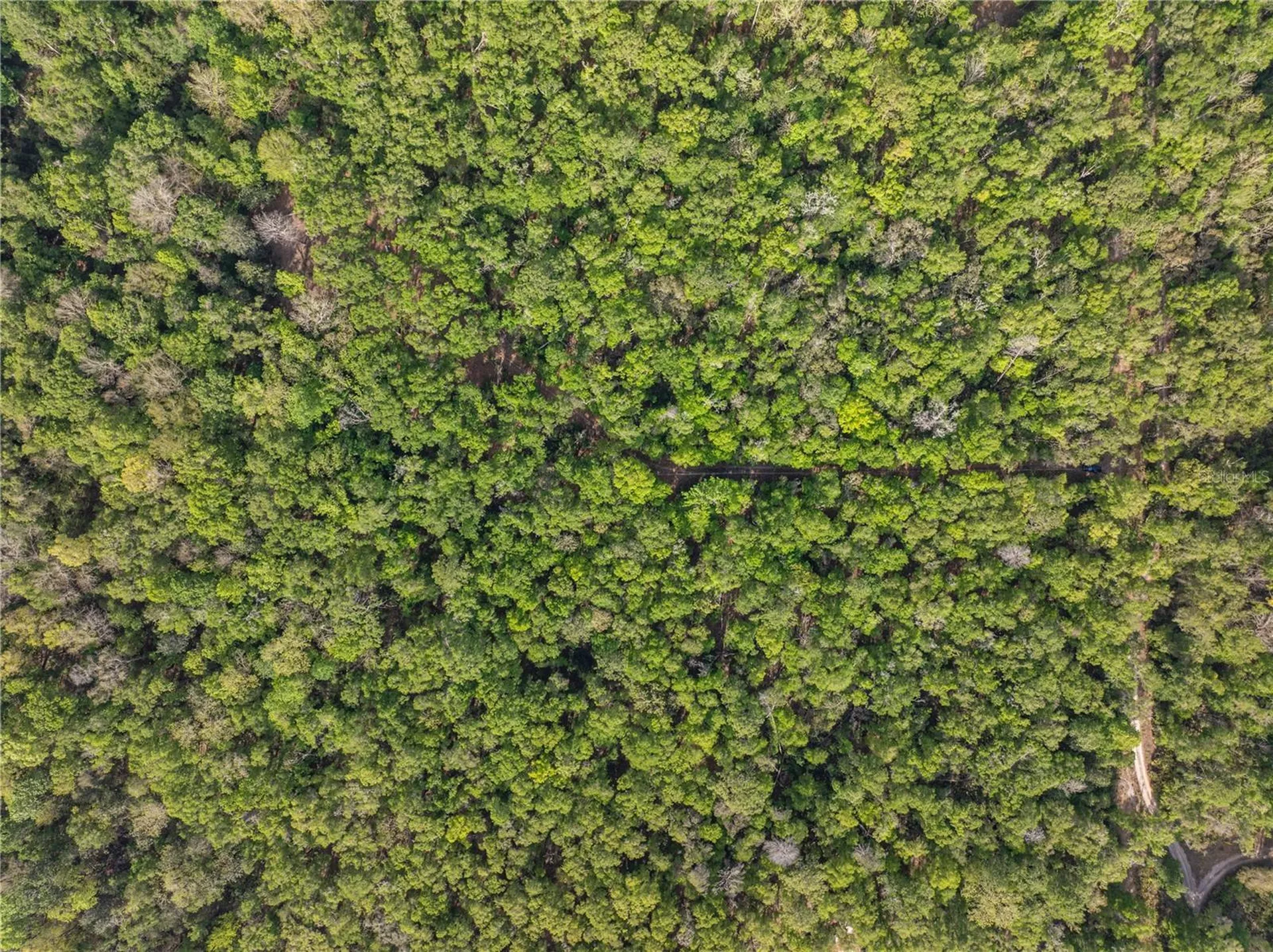 290 SW Rattlesnake Glen Fort White FL 32038