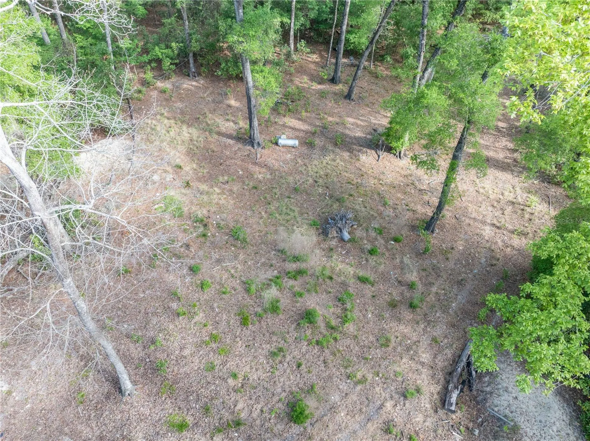 290 SW Rattlesnake Glen Fort White FL 32038