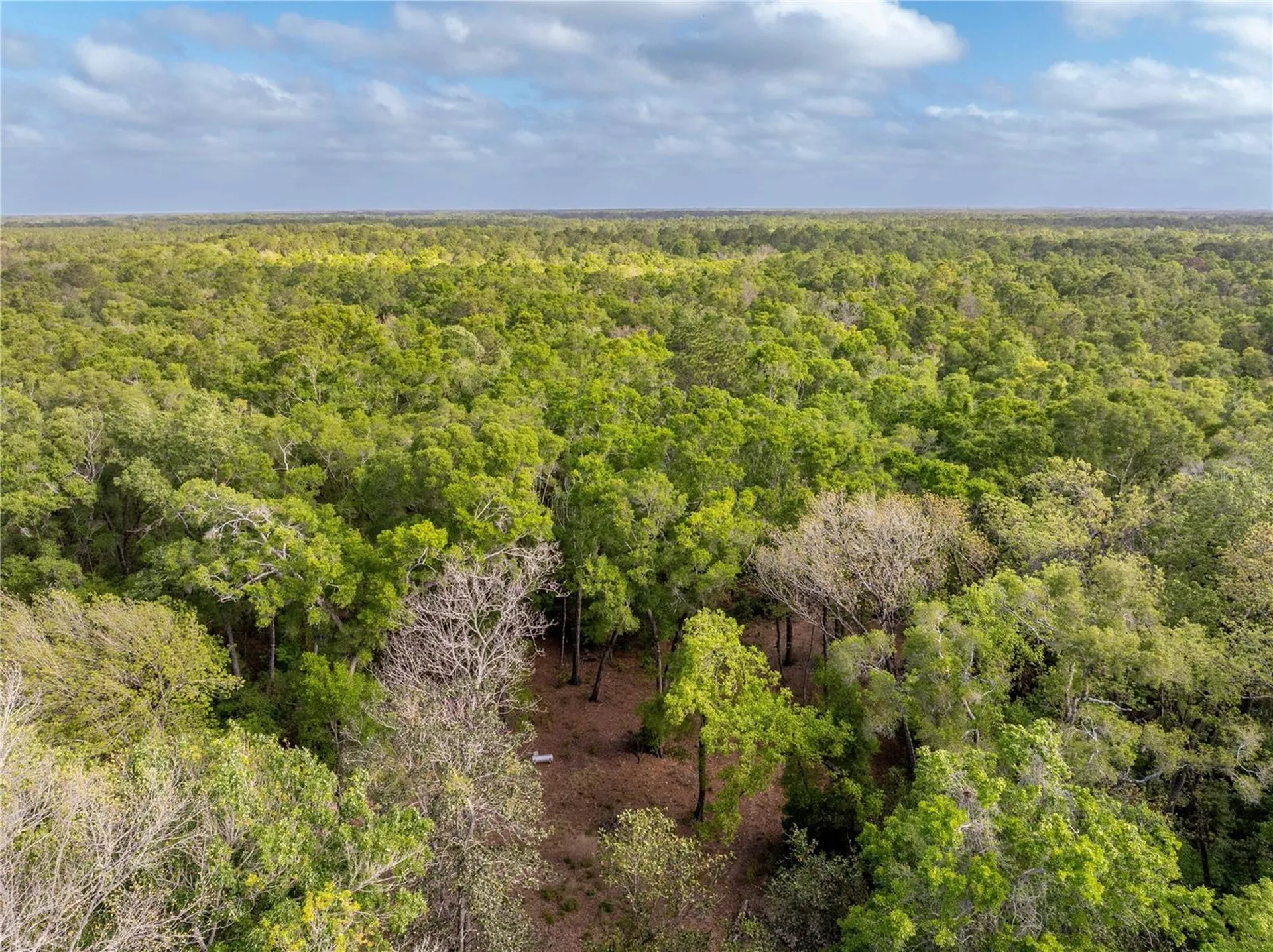 290 SW Rattlesnake Glen Fort White FL 32038
