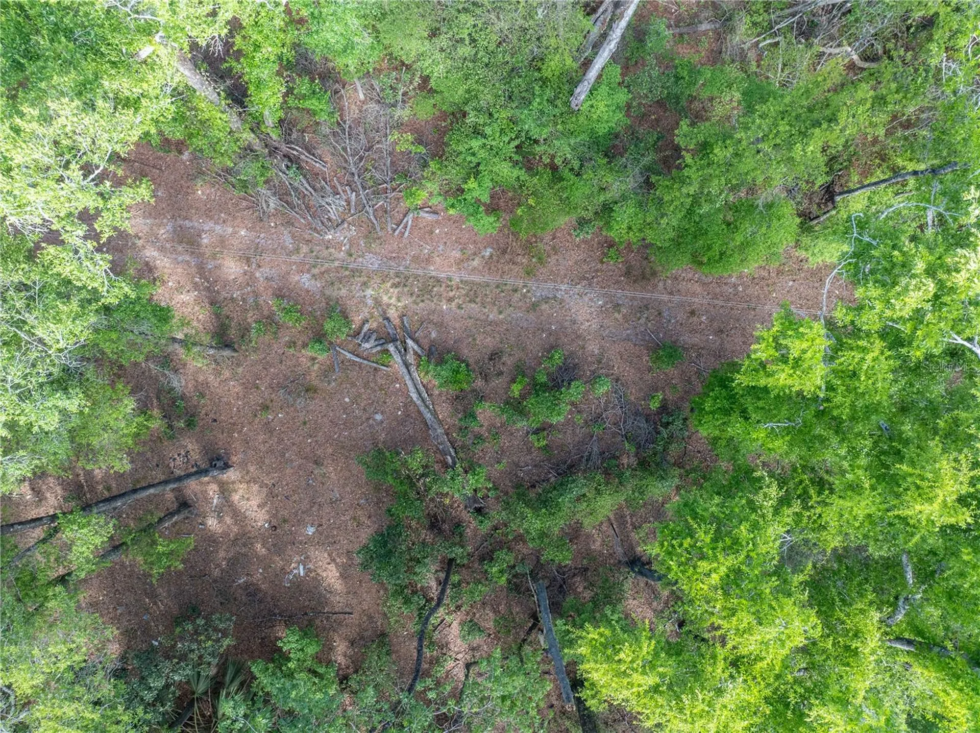 290 SW Rattlesnake Glen Fort White FL 32038