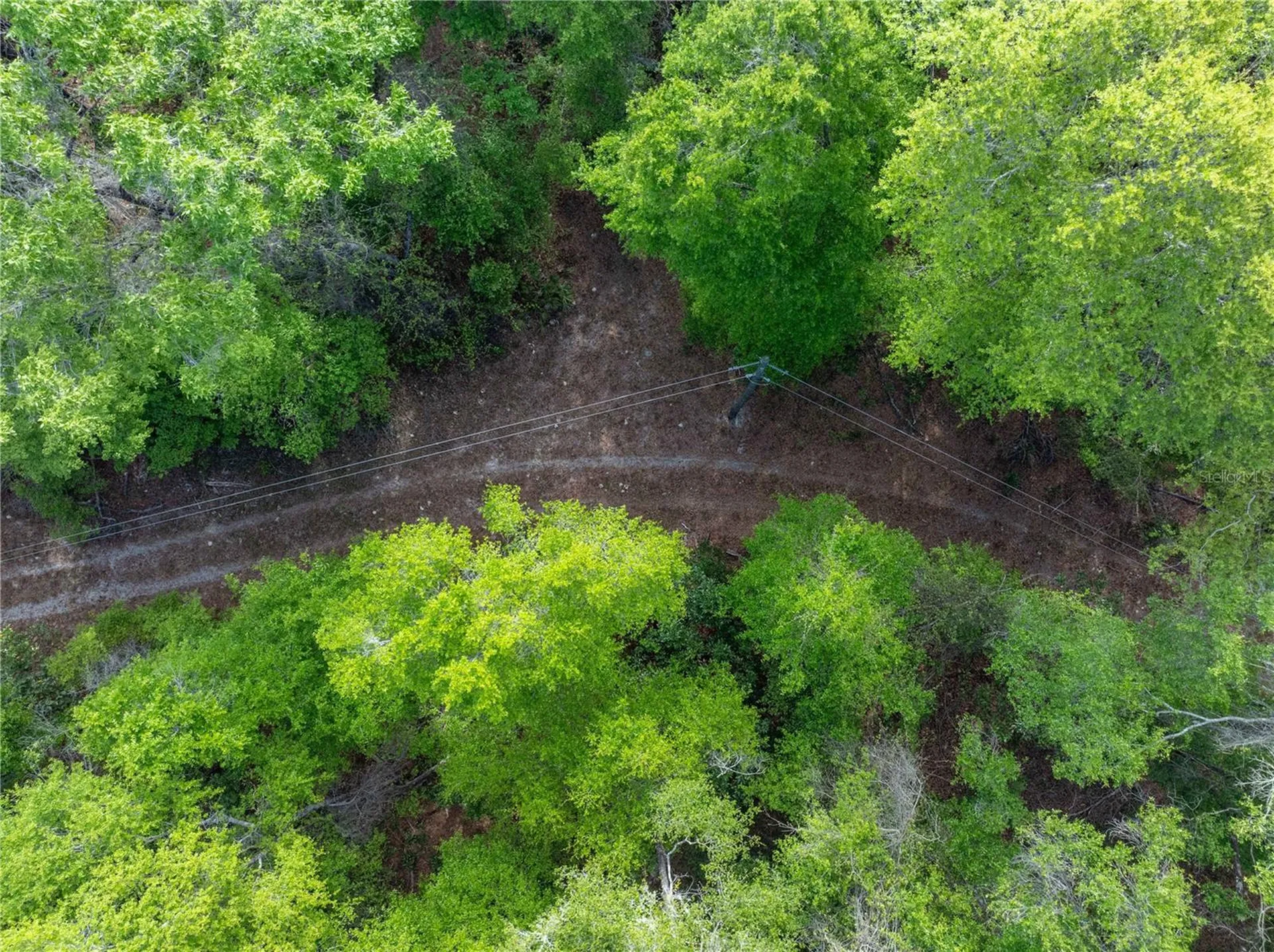 290 SW Rattlesnake Glen Fort White FL 32038