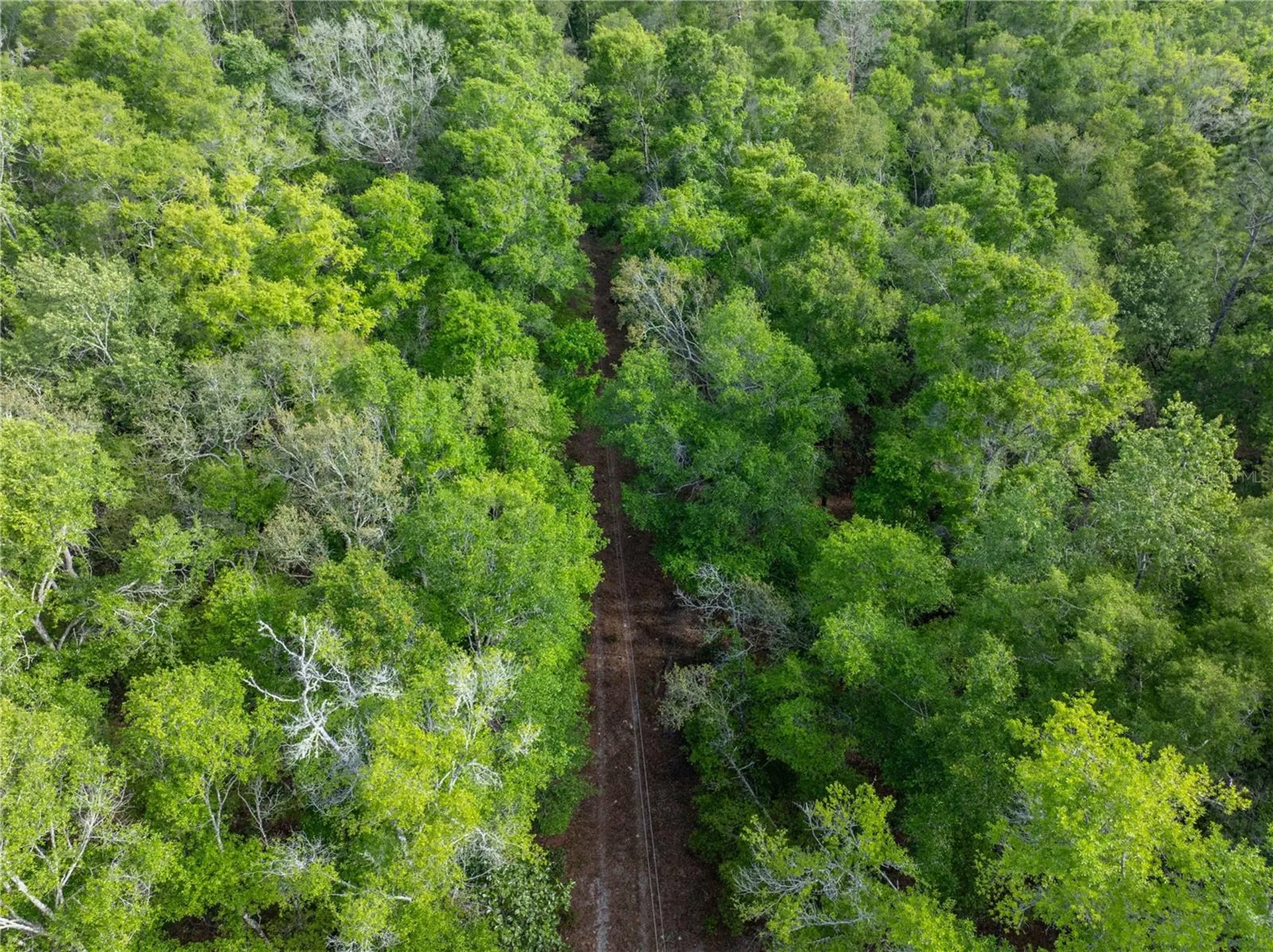290 SW Rattlesnake Glen Fort White FL 32038