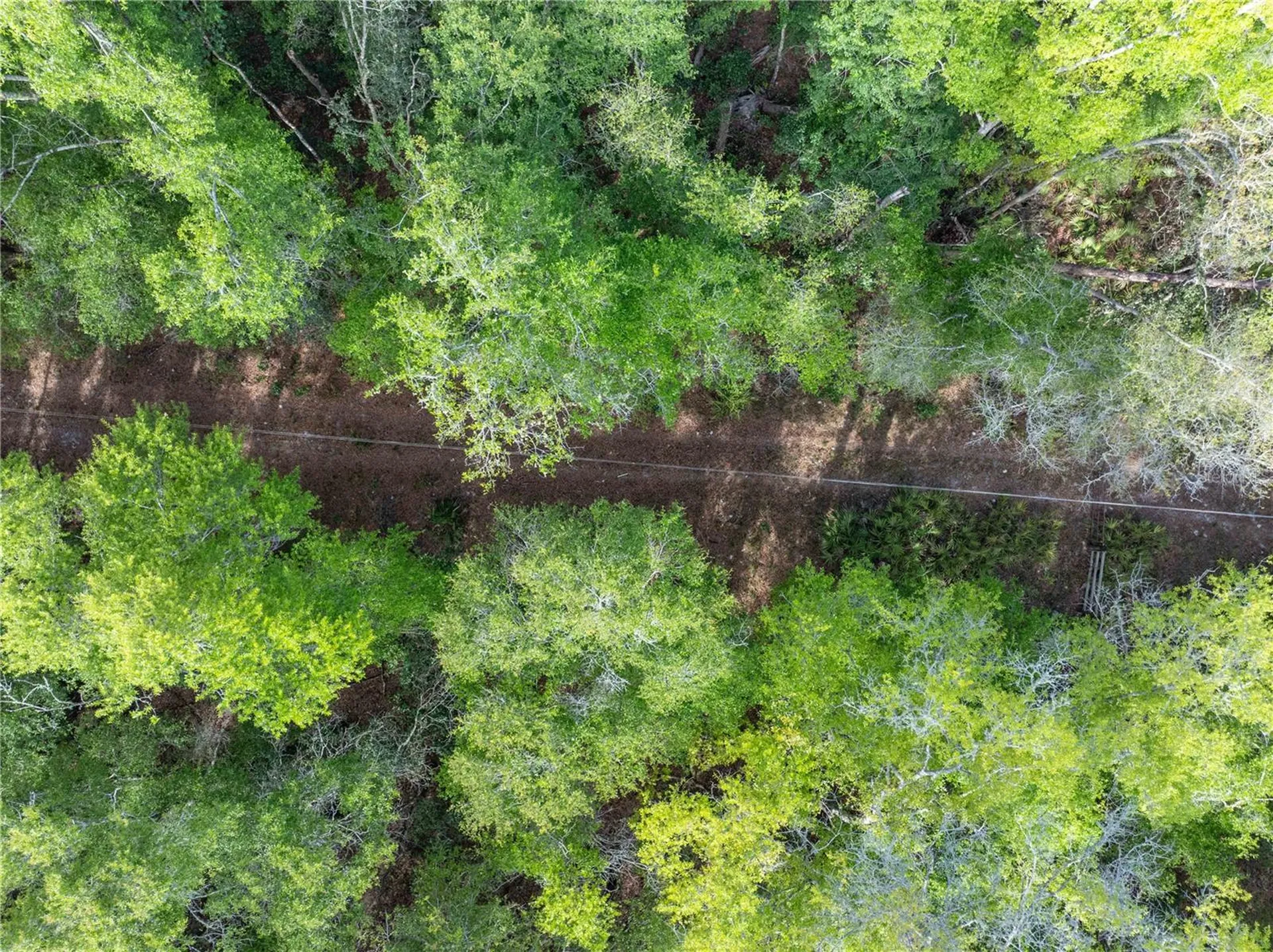 290 SW Rattlesnake Glen Fort White FL 32038