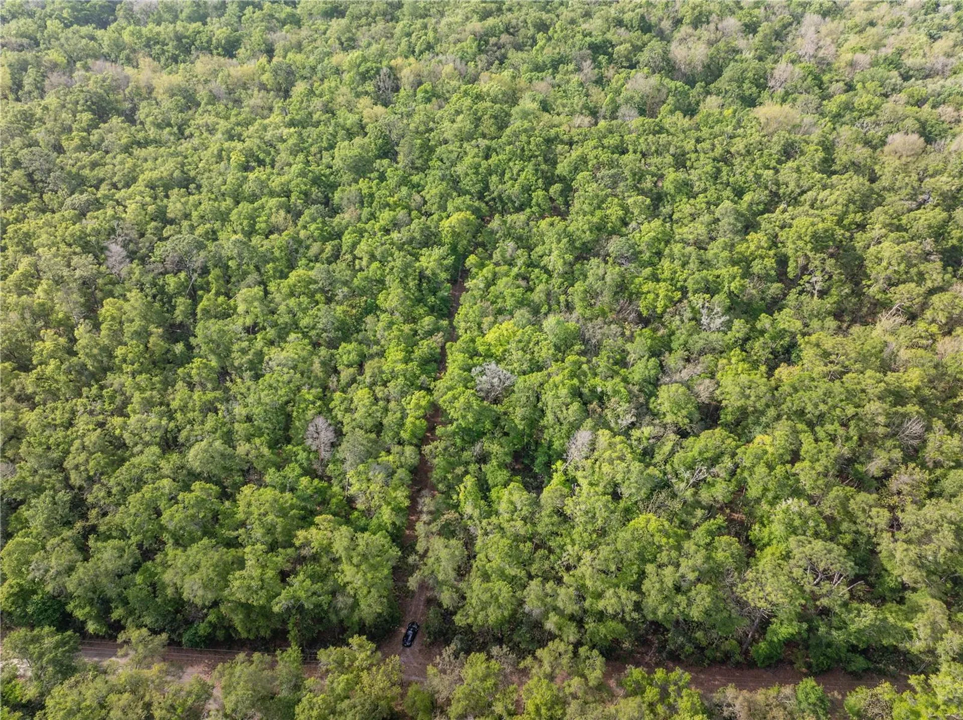 290 SW Rattlesnake Glen Fort White FL 32038