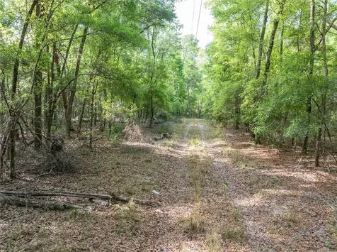 290 SW Rattlesnake Glen Fort White FL 32038