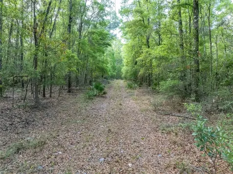 290 SW Rattlesnake Glen Fort White FL 32038