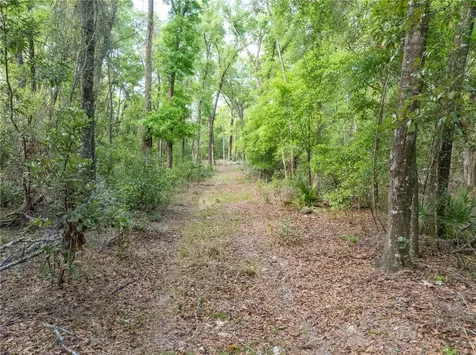 290 SW Rattlesnake Glen Fort White FL 32038