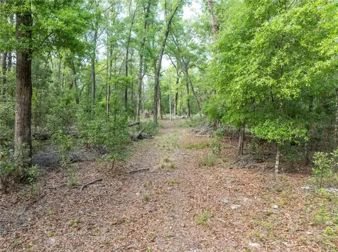 290 SW Rattlesnake Glen Fort White FL 32038