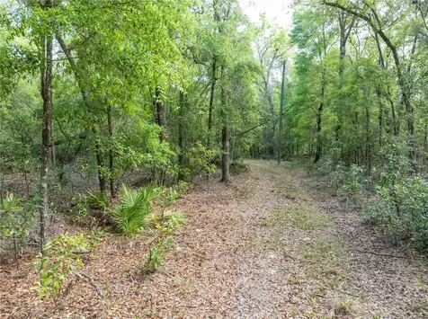 290 SW Rattlesnake Glen Fort White FL 32038