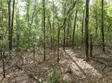 290 SW Rattlesnake Glen Fort White FL 32038