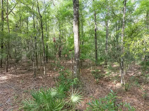 290 SW Rattlesnake Glen Fort White FL 32038