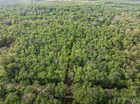 290 SW Rattlesnake Glen Fort White FL 32038