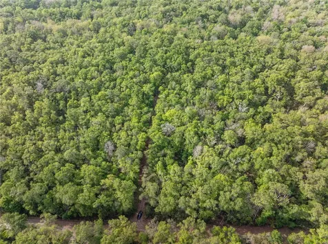 290 SW Rattlesnake Glen Fort White FL 32038