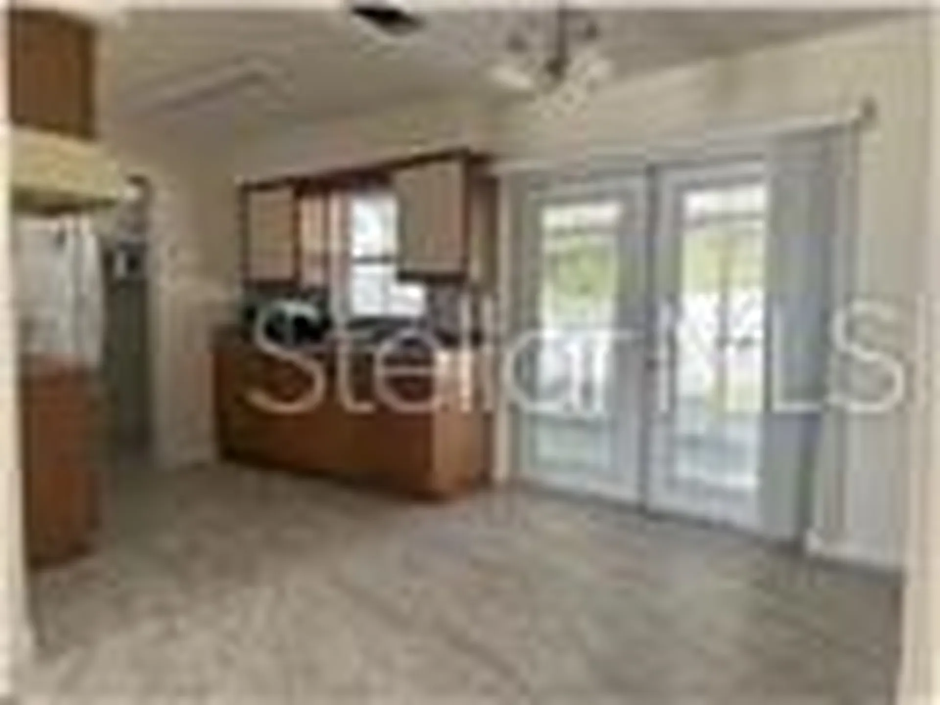 1017 E 1st Avenue Mount Dora FL 32757