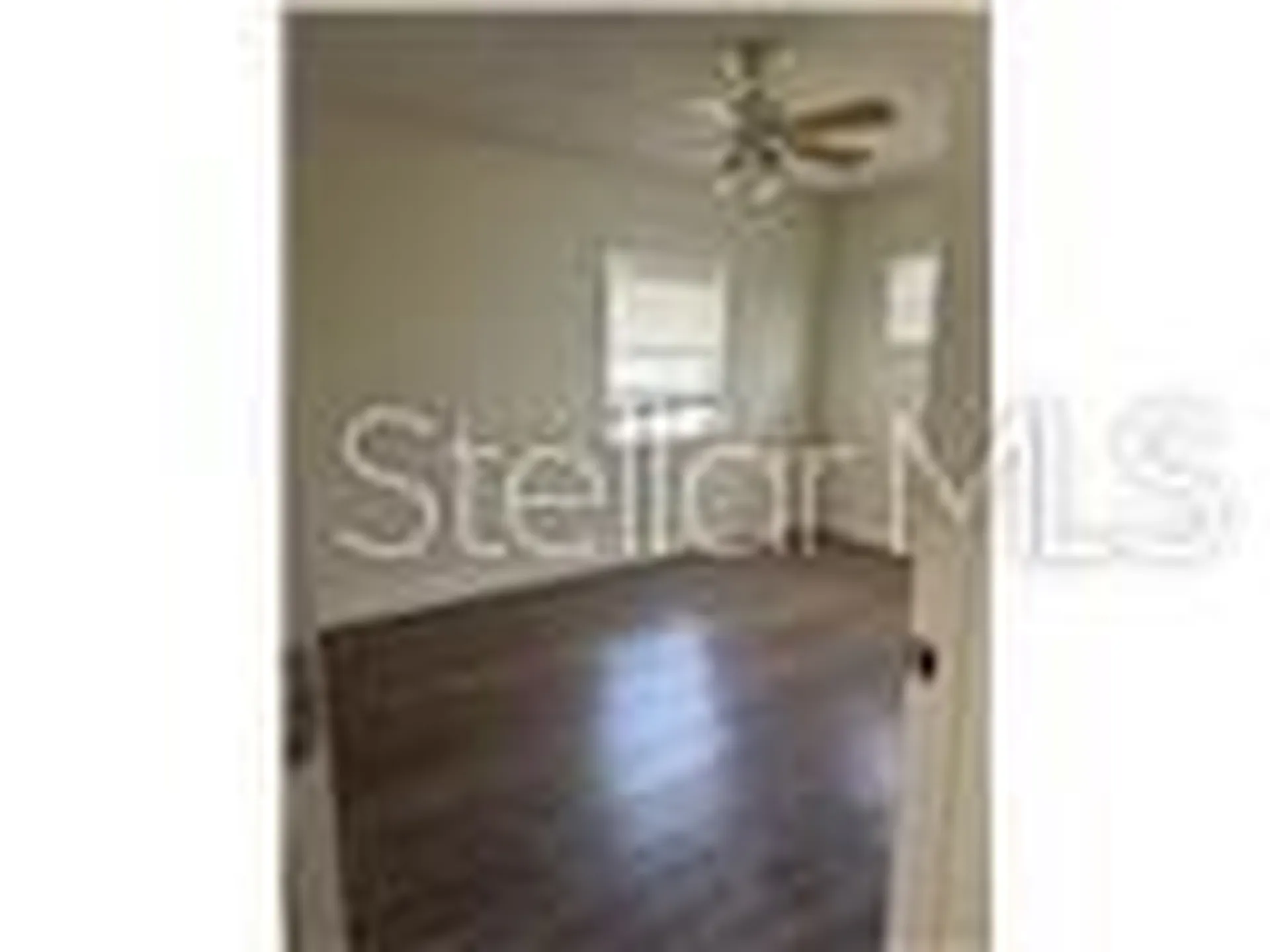 1017 E 1st Avenue Mount Dora FL 32757