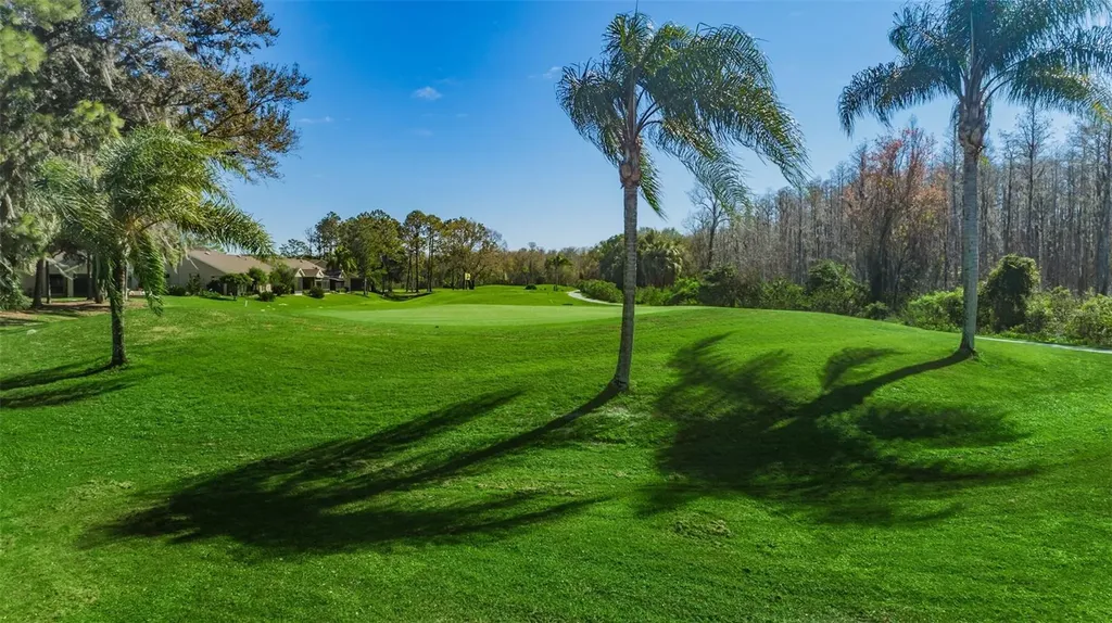 9307 Palm Haven Court New Port Richey FL 34655