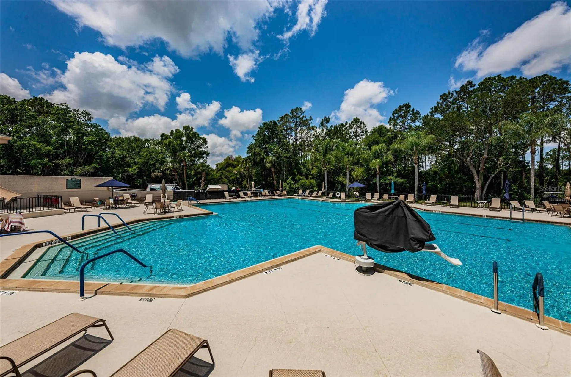 9307 Palm Haven Court New Port Richey FL 34655