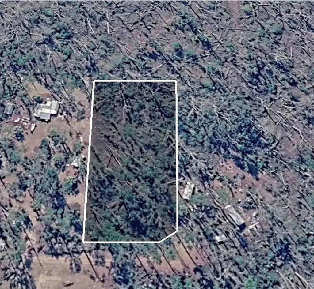 Dove Lane Perry FL 32348