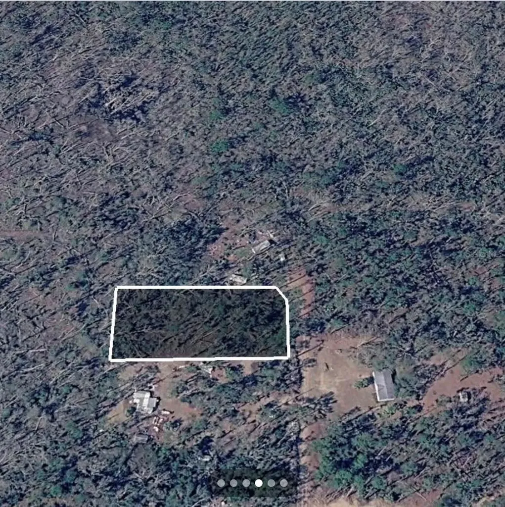 Dove Lane Perry FL 32348