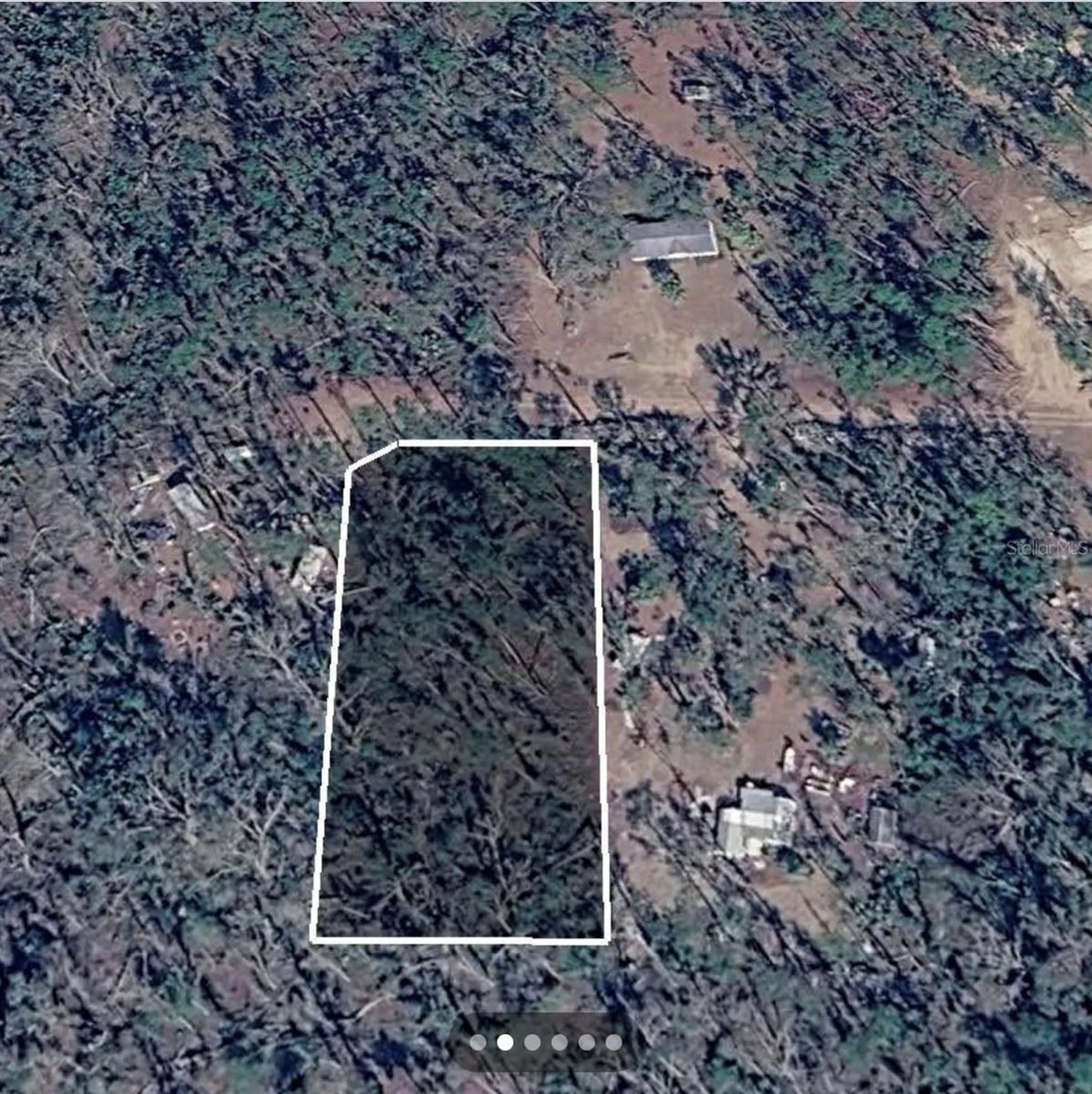 Dove Lane Perry FL 32348