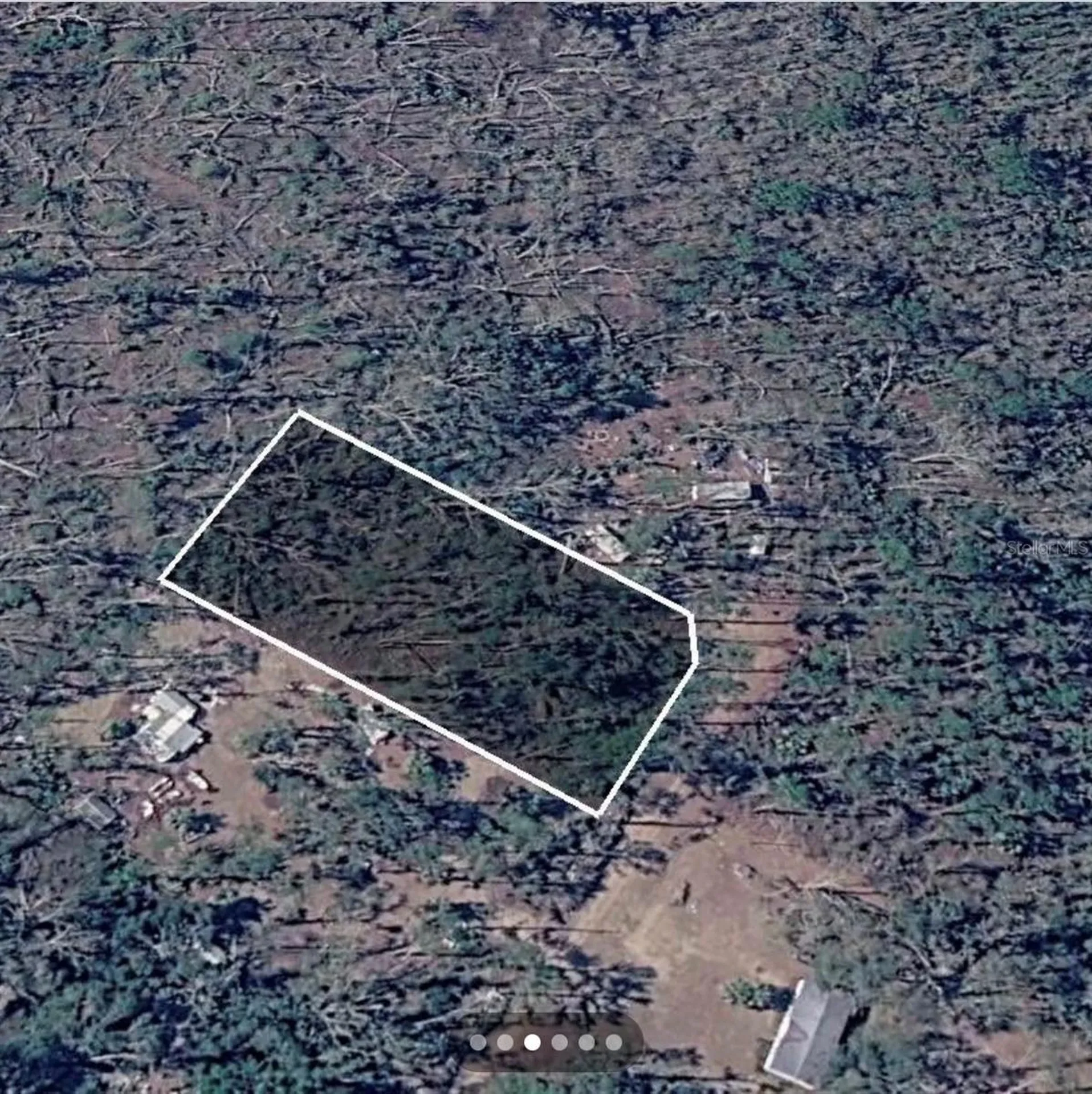 Dove Lane Perry FL 32348