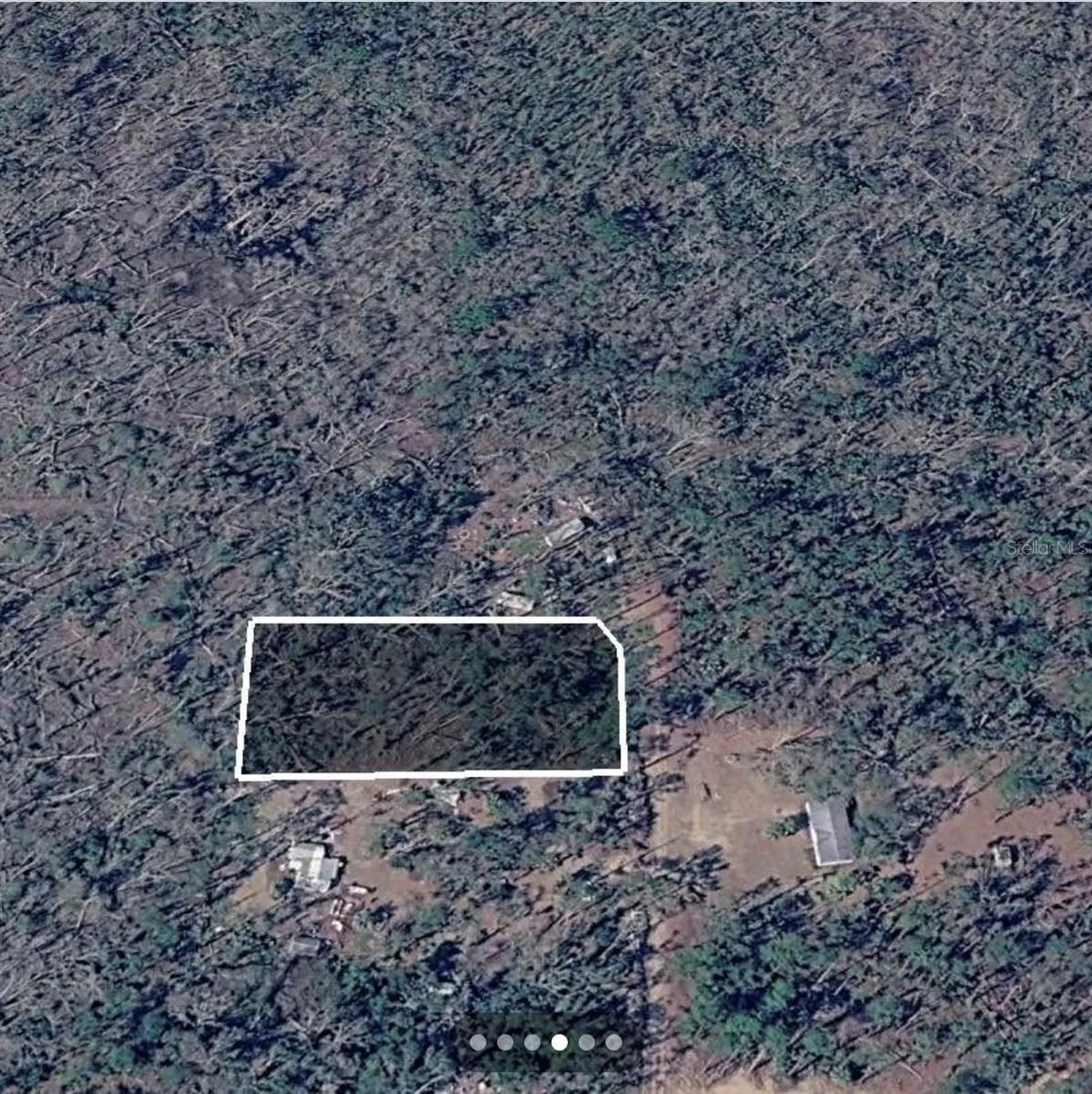 Dove Lane Perry FL 32348